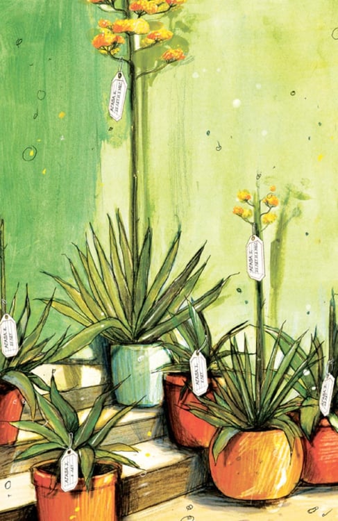Дополнительное изображение книги «Вижу - не вижу»