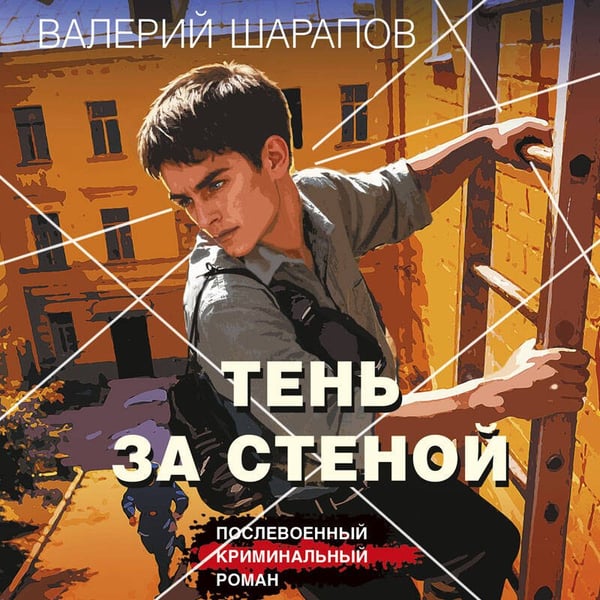 Дополнительное изображение книги «Тень за стеной»