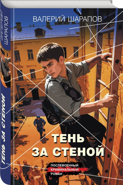 Дополнительное изображение книги «Тень за стеной»