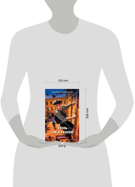 Дополнительное изображение книги «Тень за стеной»