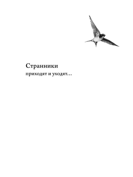 Дополнительное изображение книги «Ловец ласточек»
