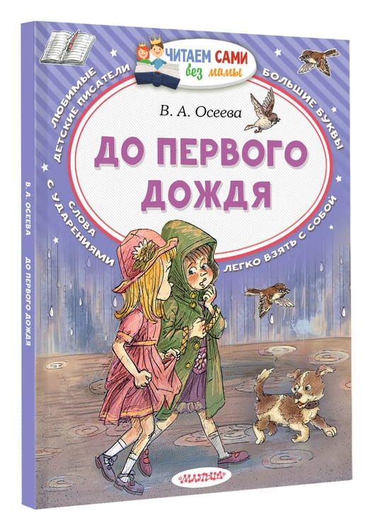 Дополнительное изображение книги «До первого дождя»