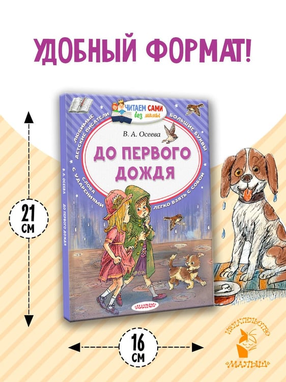 Дополнительное изображение книги «До первого дождя»