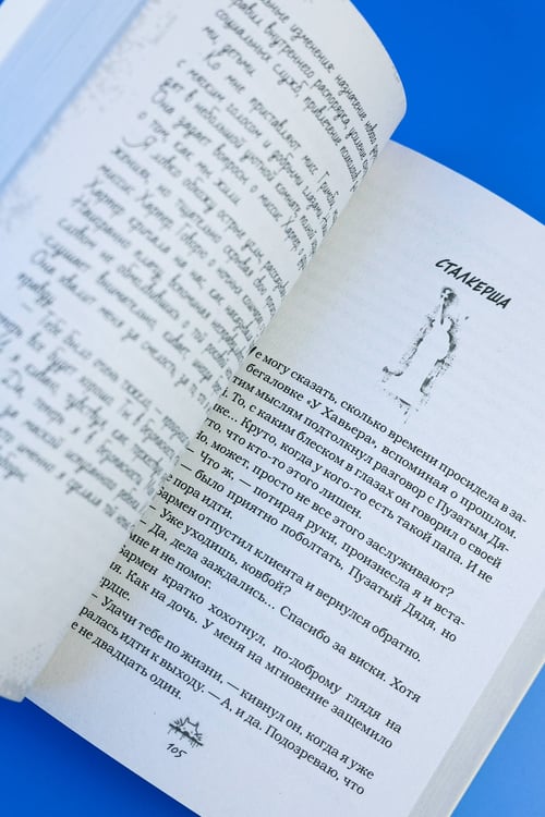 Дополнительное изображение книги «Злодей и фанатка»