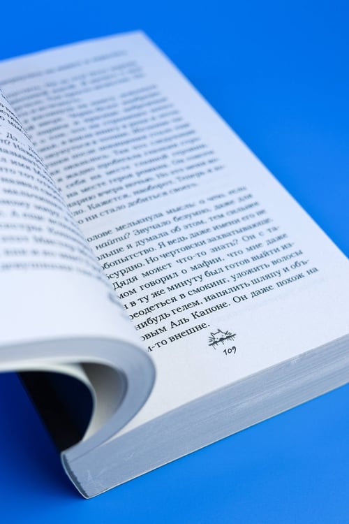 Дополнительное изображение книги «Злодей и фанатка»