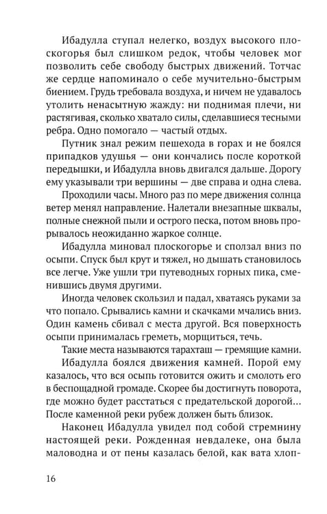 Дополнительное изображение книги «Возвращение Ибадуллы»