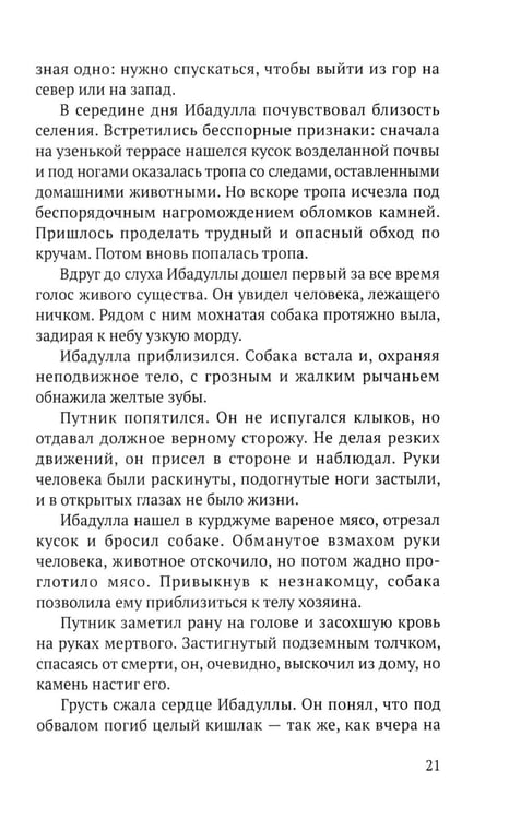 Дополнительное изображение книги «Возвращение Ибадуллы»