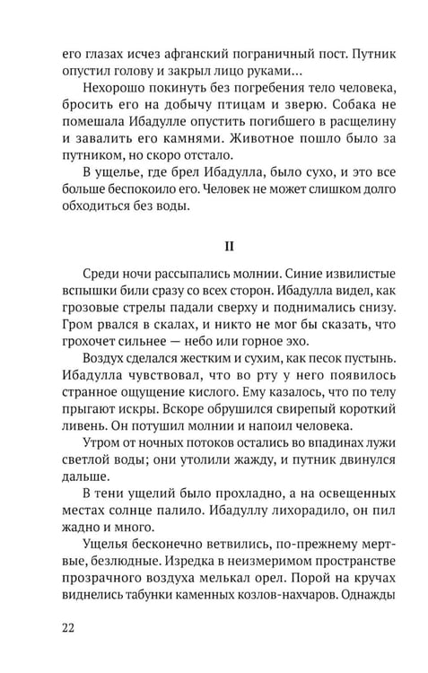 Дополнительное изображение книги «Возвращение Ибадуллы»