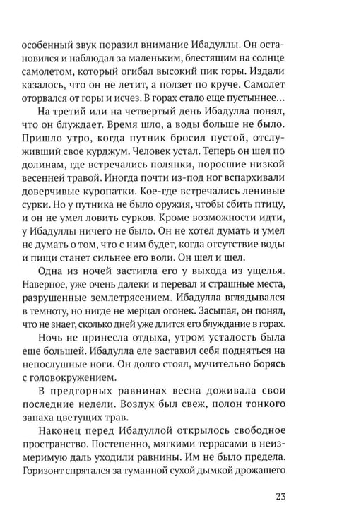 Дополнительное изображение книги «Возвращение Ибадуллы»