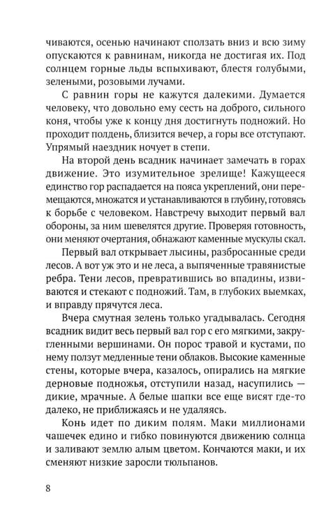 Дополнительное изображение книги «Возвращение Ибадуллы»