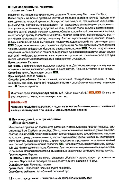 Дополнительное изображение книги «Съедобные дикорастущие растения средней полосы России. Фотоопределитель»
