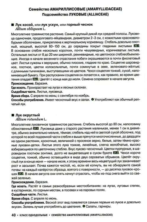 Дополнительное изображение книги «Съедобные дикорастущие растения средней полосы России. Фотоопределитель»