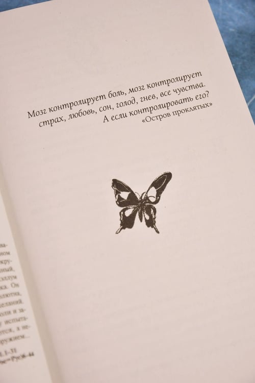Дополнительное изображение книги «Идол»