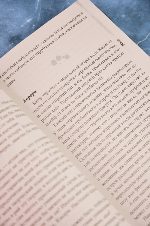 Дополнительное изображение книги «Идол»