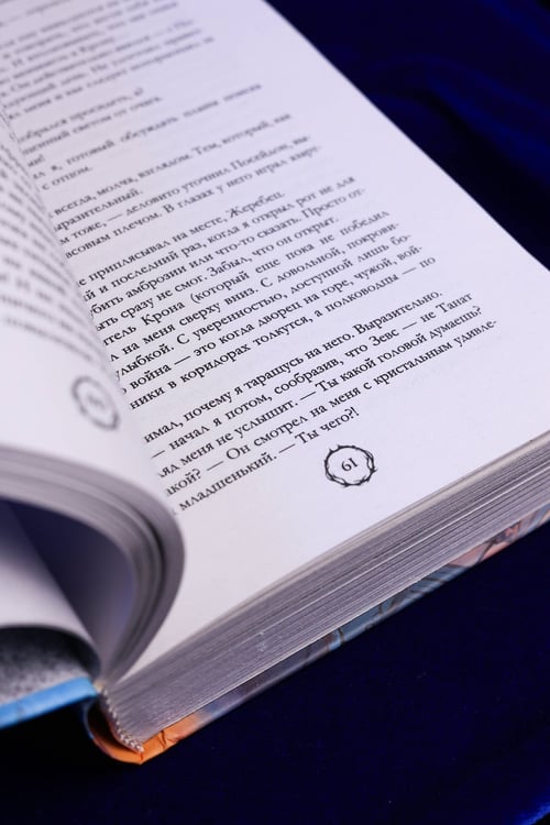 Дополнительное изображение книги «Аид. Любимец судьбы»