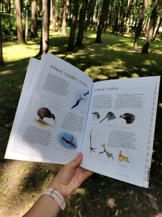Дополнительное изображение книги «Птицы в городе. Где найти и как узнать»