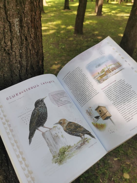 Дополнительное изображение книги «Птицы в городе. Где найти и как узнать»