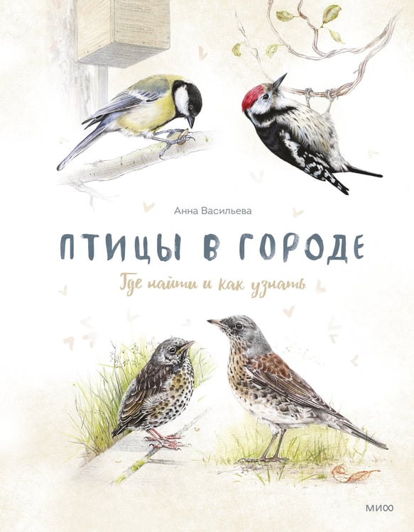 Обложка книги «Птицы в городе. Где найти и как узнать» — Васильева Анна  Борисовна, ISBN 9785002509065