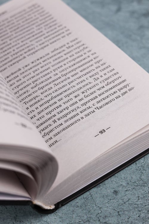 Дополнительное изображение книги «Часовой. Курсант»