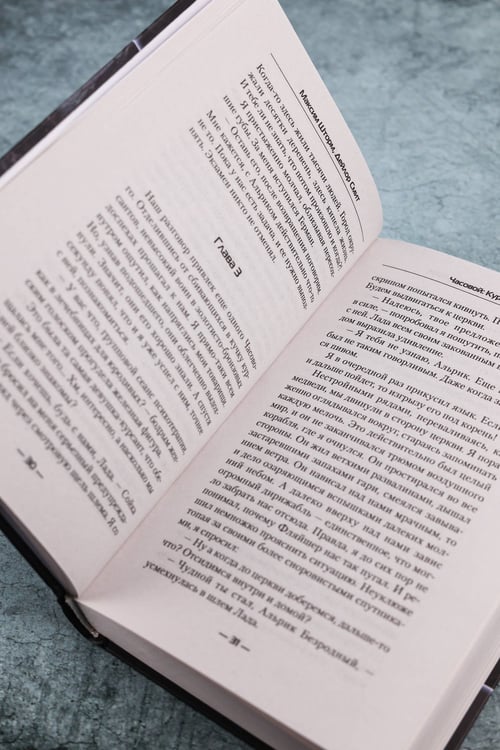 Дополнительное изображение книги «Часовой. Курсант»