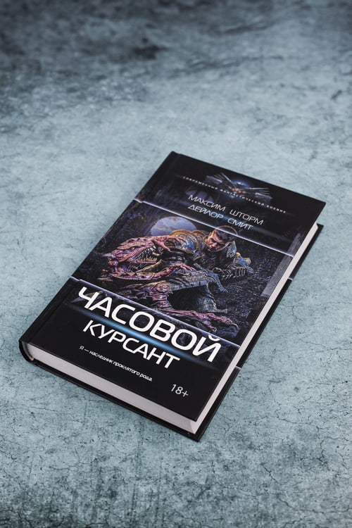 Дополнительное изображение книги «Часовой. Курсант»