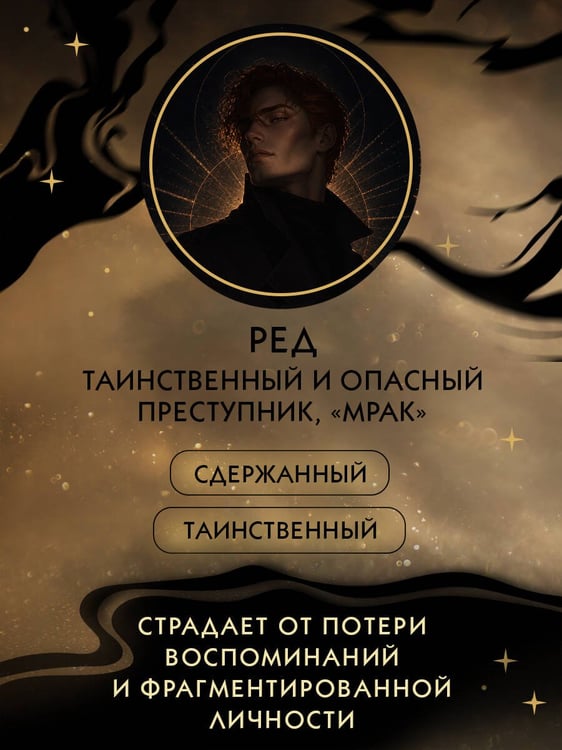 Дополнительное изображение книги «Похитительница Ночи (#2)»