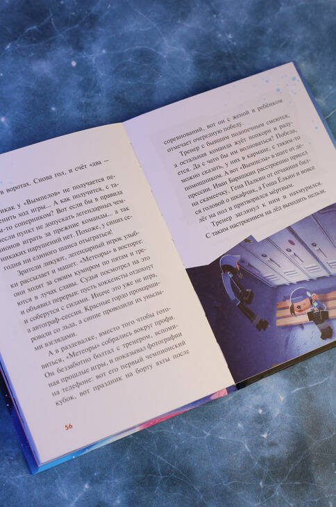 Дополнительное изображение книги «Чемпионы. Настоящие профи»