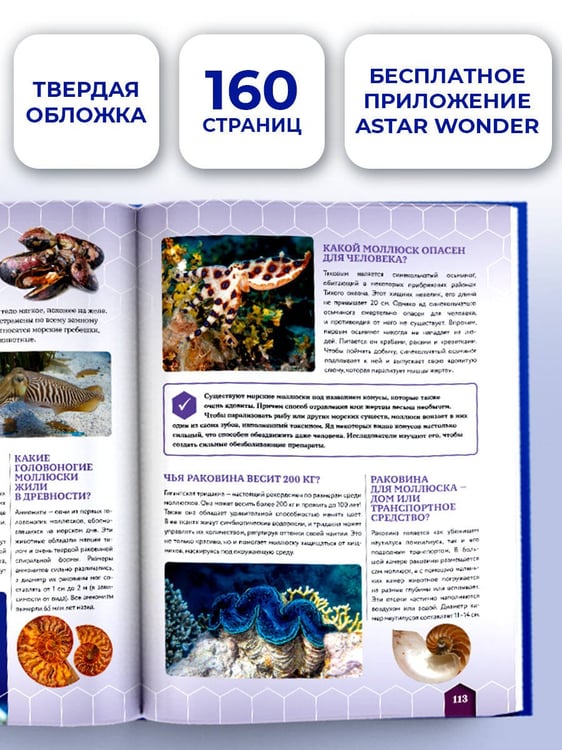 Дополнительное изображение книги «Большая книга почему»