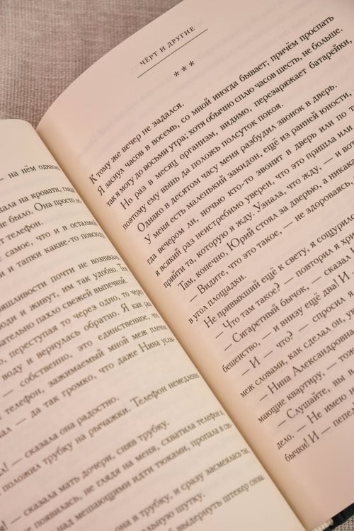 Дополнительное изображение книги «Грех»