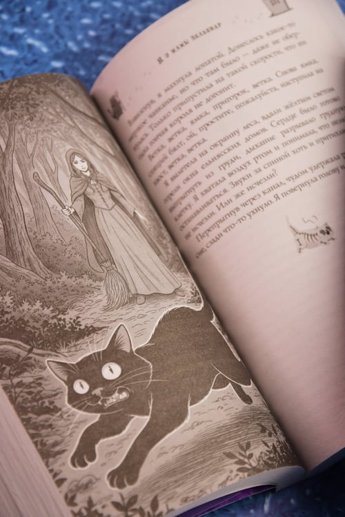 Дополнительное изображение книги «Я у мамы зельевар»