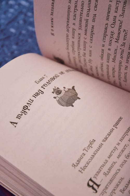 Дополнительное изображение книги «Я у мамы зельевар»