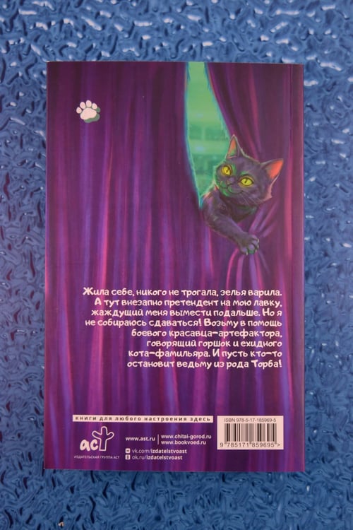 Дополнительное изображение книги «Я у мамы зельевар»