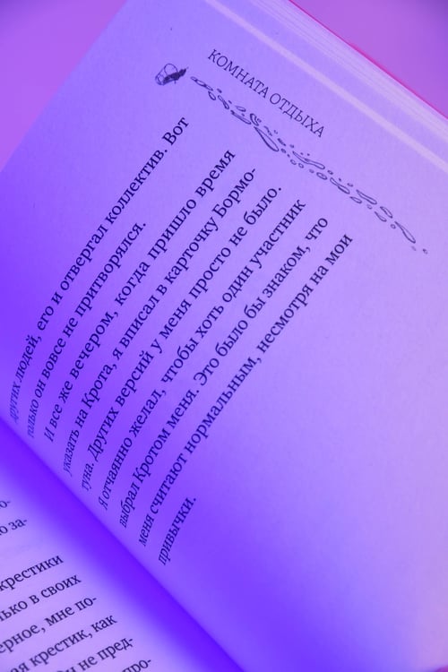 Дополнительное изображение книги «Комната отдыха»