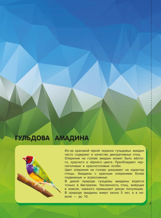 Дополнительное изображение книги «Птицы и подводный мир»