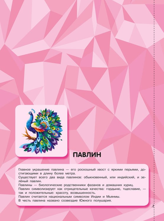 Дополнительное изображение книги «Птицы и подводный мир»