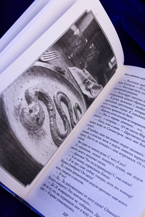 Дополнительное изображение книги «Жена неверного маршала»
