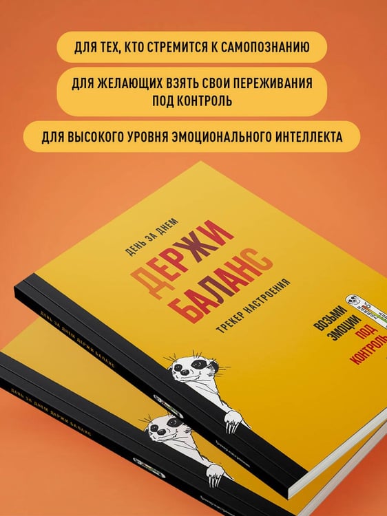 Дополнительное изображение книги «День за днем ДЕРЖИ БАЛАНС. Трекер настроения. Возьми эмоции под контроль»