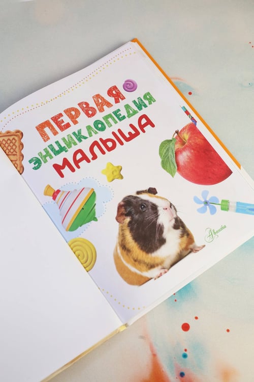 Дополнительное изображение книги «Первая энциклопедия малыша»