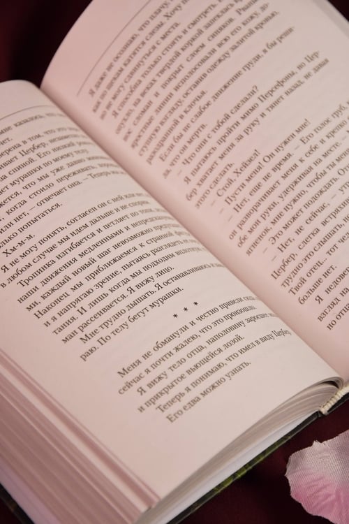 Дополнительное изображение книги «Любовь и смерть»