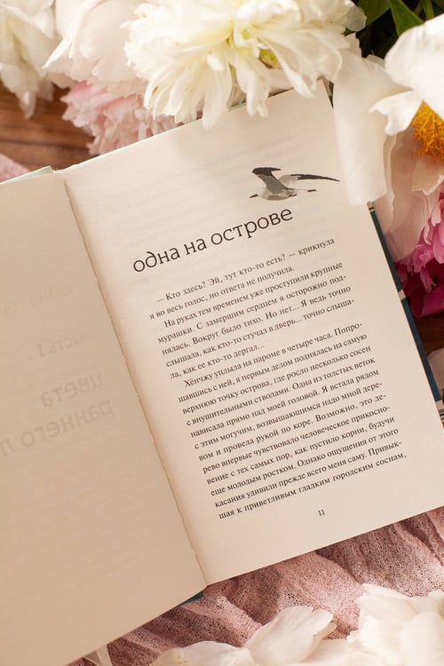Дополнительное изображение книги «Мой остров тишины»