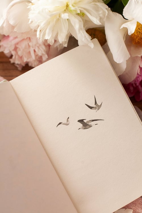 Дополнительное изображение книги «Мой остров тишины»