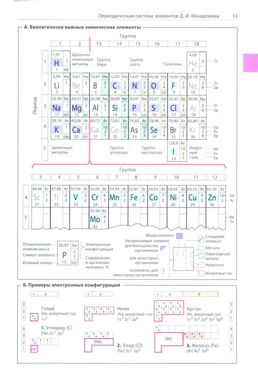 Дополнительное изображение книги «Наглядная биохимия. 8-е изд»