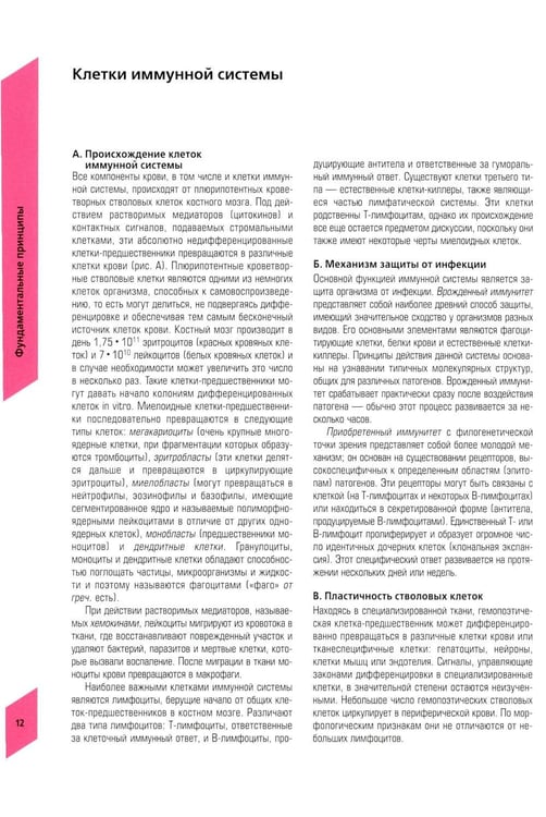Дополнительное изображение книги «Наглядная иммунология. 8-е изд»