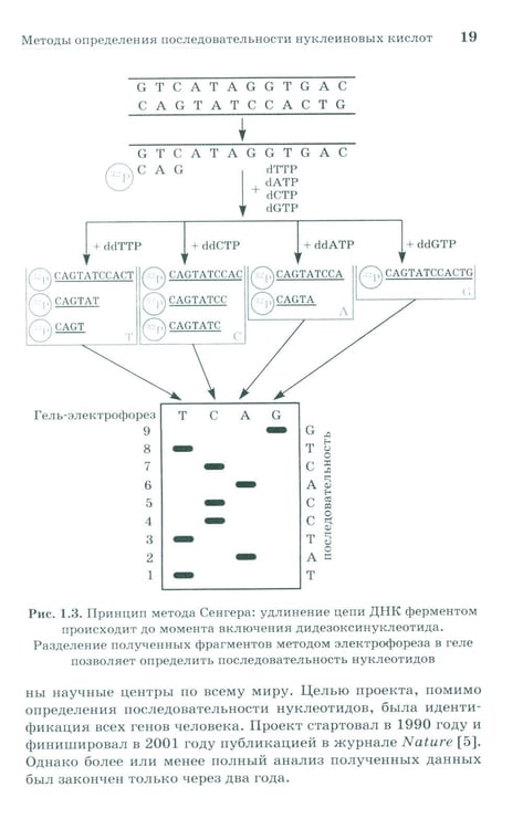 Дополнительное изображение книги «NGS: высокопроизводительное секвенирование. 7-е изд»