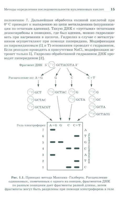 Дополнительное изображение книги «NGS: высокопроизводительное секвенирование. 7-е изд»