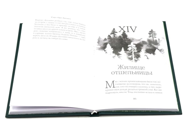 Дополнительное изображение книги «Край островерхих елей»
