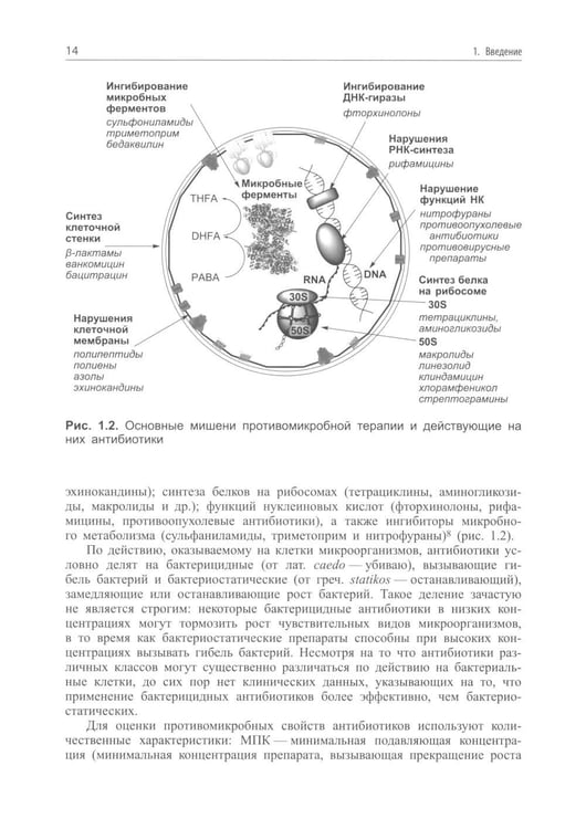 Дополнительное изображение книги «Современные антибиотики и их аналоги. 2-е изд»