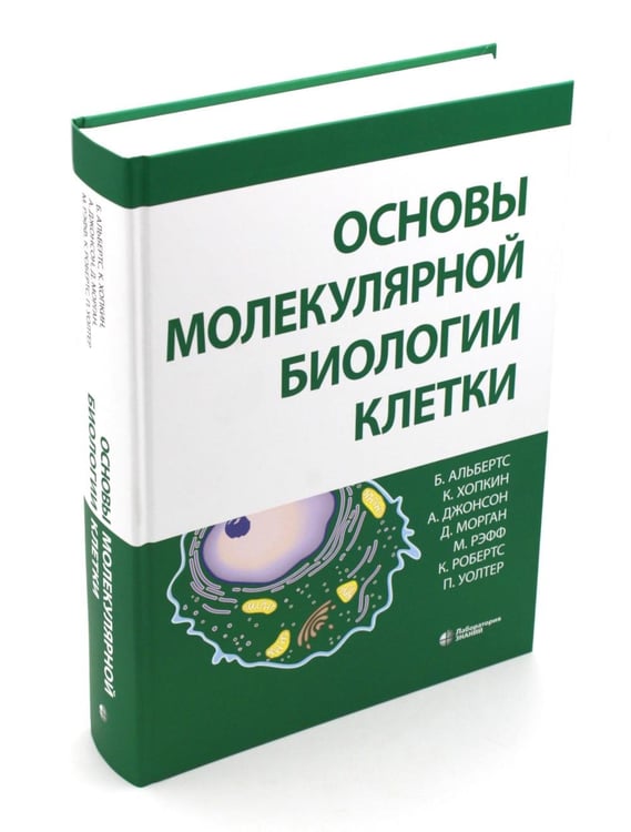 Дополнительное изображение книги «Основы молекулярной биологии клетки. 4-е изд»