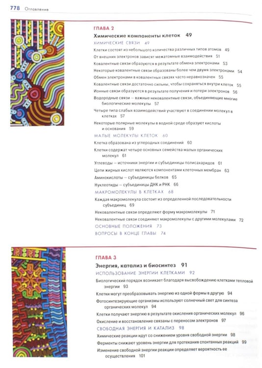 Дополнительное изображение книги «Основы молекулярной биологии клетки. 4-е изд»