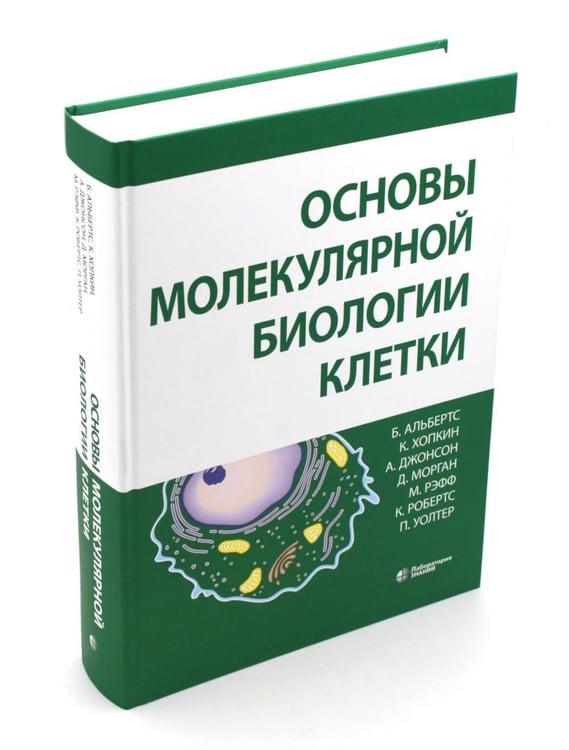 Обложка книги «Основы молекулярной биологии клетки. 4-е изд» — Альбертс Брюс;Хопкин Карен;Джонсон Александр, ISBN 9785932089682